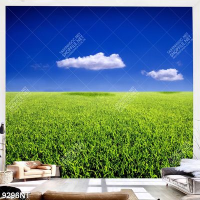 Tranh cánh đồng cỏ xanh 9296NT