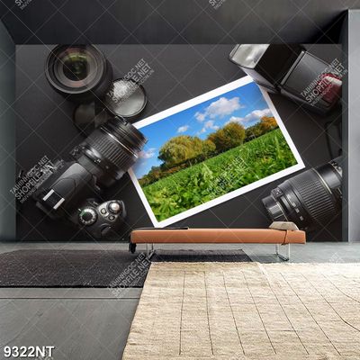 Tranh bức hình phong cảnh thiên nhiên