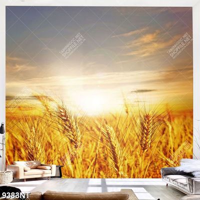 Tranh cánh đồng bông lúa mạch 9393NT