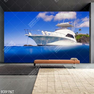 Tranh con thuyền trắng 9391NT