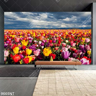 Tranh cánh đồng hoa tulip 9665NT
