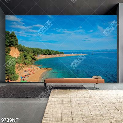 Tranh bãi biển đẹp 9739NT