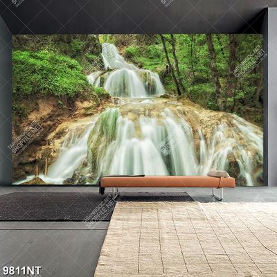 Tranh thác nước 9811NT