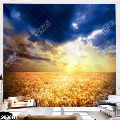 Tranh bầu trời nghệ thuật 9838NT