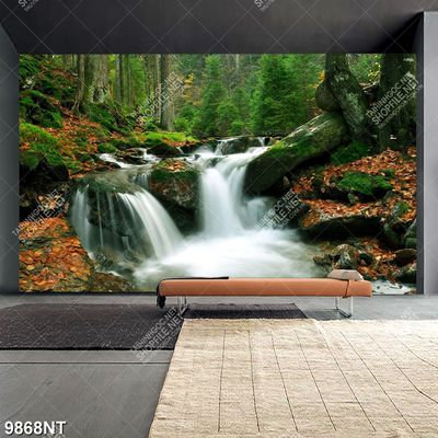 Tranh thác nước trong khu rừng