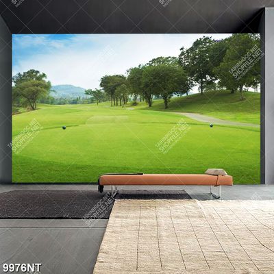 Tranh sân golf đẹp 9976NT