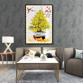 tranh hoa mai CAY MAI 29 4 2021 tuan