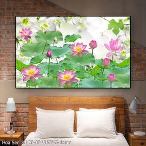Hoa Sen 3d 20 09 VUONG