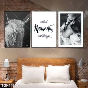 Tranh ghép tôn vẻ đẹp mảng tường trắng