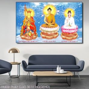 TRANH PHAT GIAO 30 11 HO