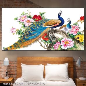 Tranh Chim Cong 17 05 VUONG