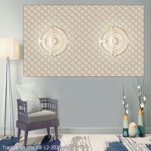 Tranh tran nha 28 12 2021 Hanh