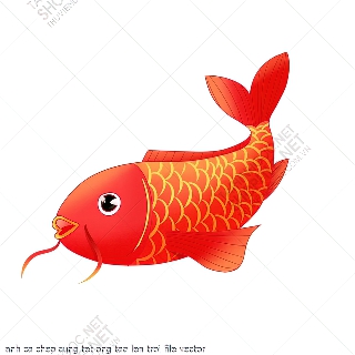 anh ca chep cung tet ong tao len troi file vector
