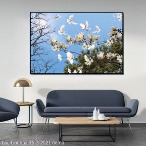 bau troi hoa 16 3 2021