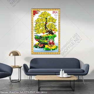 bonsai chau mai tet 17 9 2022 van