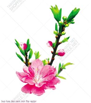 bup hoa dao nam moi file vector