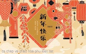 ca chep va phao hoa phu kien tet