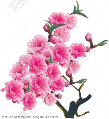 canh dao nam moi mau hong tim file vector