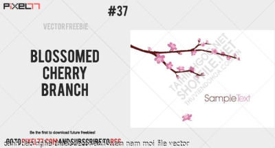 canh dao nghe thuat decor anh xuan nam moi file vector