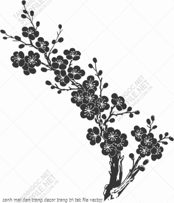 canh mai den trang decor trang tri tet file vector