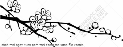canh mai ngay xuan nam moi decor tan xuan file vector