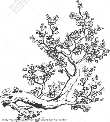 canh mai ngay xuan nam moi decor tet file vector