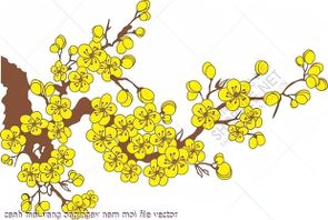 canh mai vang ong ngay nam moi file vector