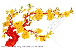 canh mai xin dep vang hoe nam moi file vector