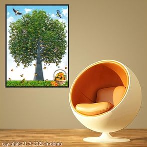 cay phat 21 3 2022 h