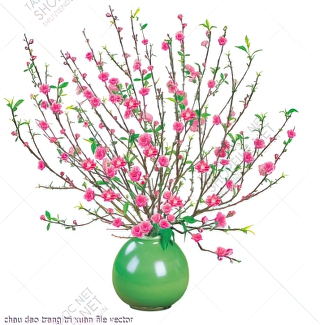 chau dao trang tri xuan file vector