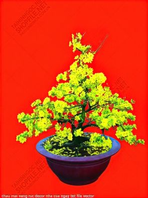 chau mai vang ruc decor nha cua ngay tet file vector