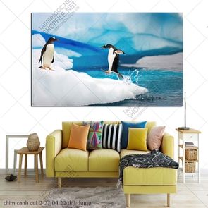 chim canh cut 2 27 04 22 dat