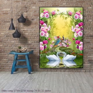 chim cong 1750x1250 vuong 24 01 22