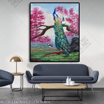 chim cong 19112022 kt chinh b1 ho