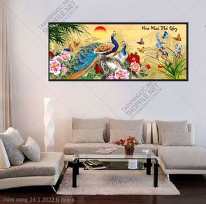 chim cong 24 1 2022 h