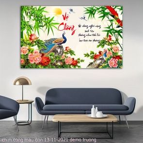 chim cong mau don 13 11 2021 truong