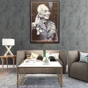 bac giap dai tuong vo nguyen giap 24 12 ho