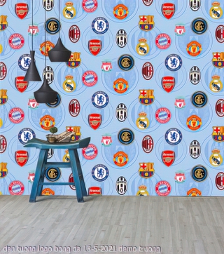 dan tuong logo bong da 13 5 2021 truong