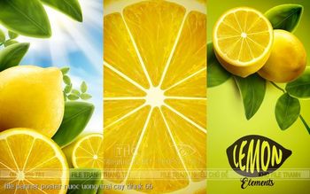 file banner poster nuoc uong trai cay drink 66