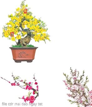 file cdr mai dao ngay tet