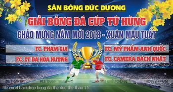 file corel backdrop bong da the duc the thao 15
