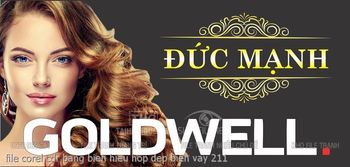 file corel cdr bang bien hieu hop dep bien vay 211