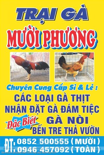 file corel cdr bang bien hieu hop dep bien vay 476