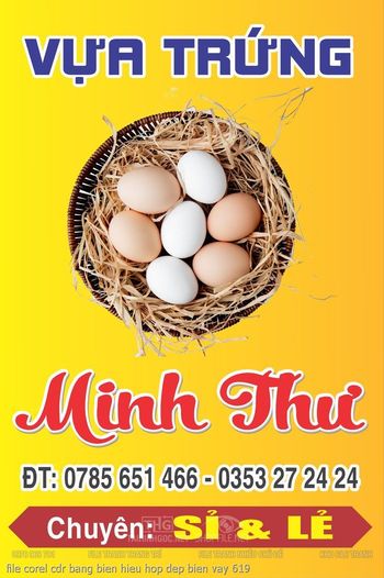 file corel cdr bang bien hieu hop dep bien vay 619