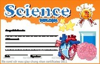 file corel cdr mau giay chung nhan certificates 0811