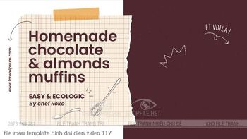 file mau template hinh dai dien video 117