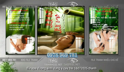 file spa duong sinh dong y cay tre 16072025 thanh