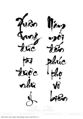 file text cau chuc thu phap nam moi tet 11