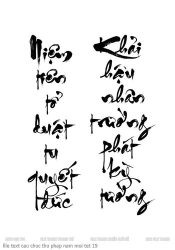 file text cau chuc thu phap nam moi tet 19
