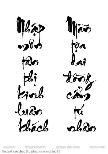 file text cau chuc thu phap nam moi tet 20